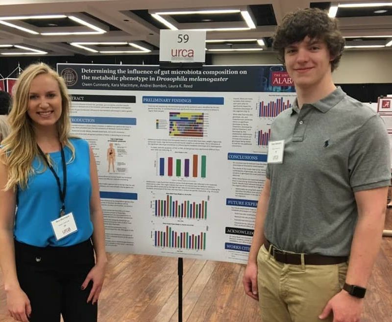 Students presenting research at URCA